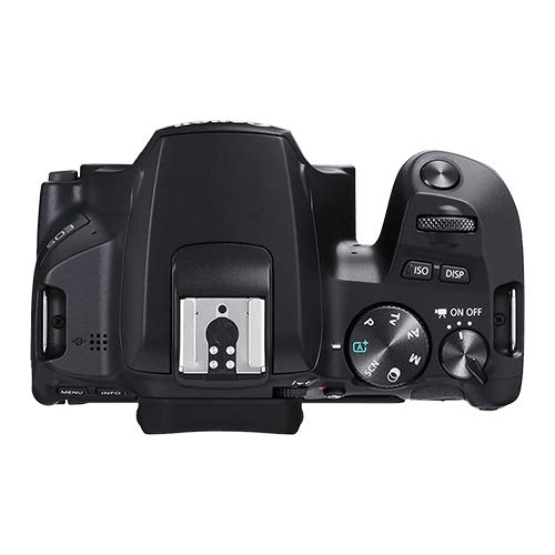 Amazon Canada: Canon EOS 250D / Rebel SL3 Digital SLR Camera